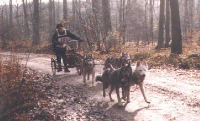 Anne Lunn at Bedgebury