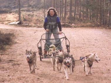 Jay WHITELEY at Aviemore