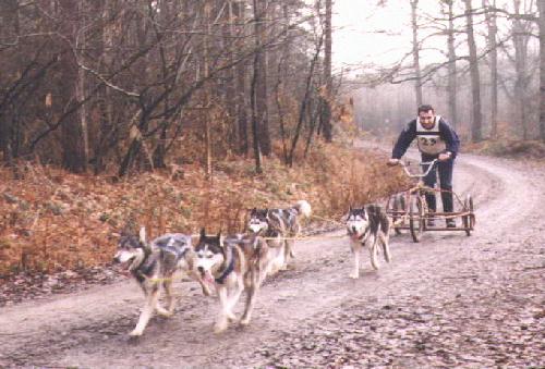 Trevor Fagg at Bedgebury