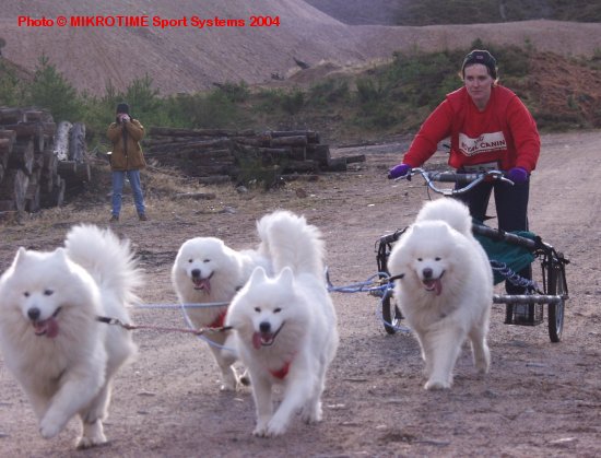 Fluffy friends