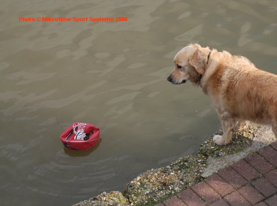Can I swim for it?